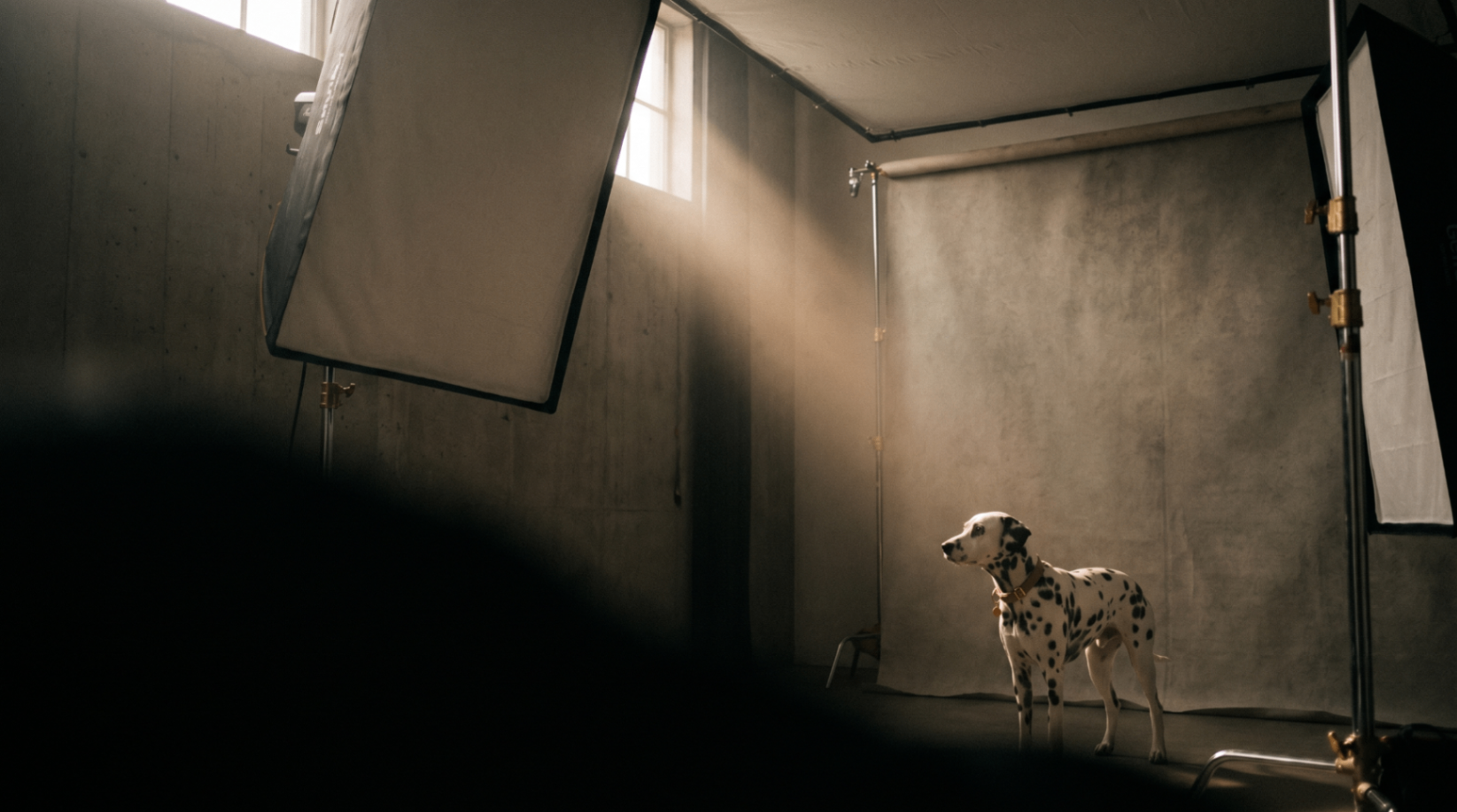 Bastidores